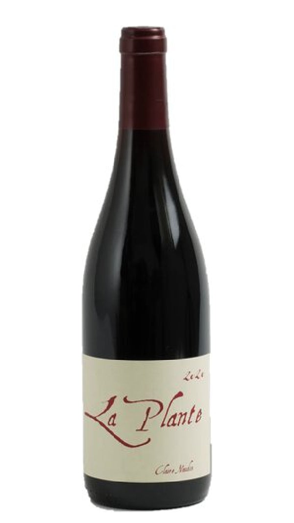 Claire Naudin - "La Plante" Pinot Noir 2021 (750ml)